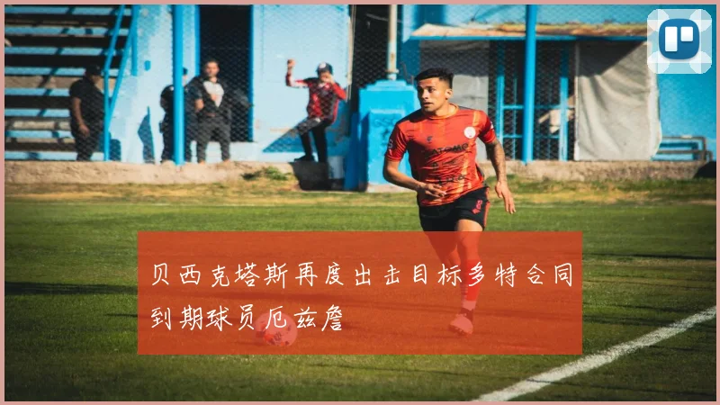 贝西克塔斯再度出击目标多特合同到期球员厄兹詹
