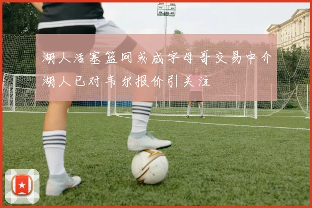 湖人活塞篮网或成字母哥交易中介湖人已对韦尔报价引关注