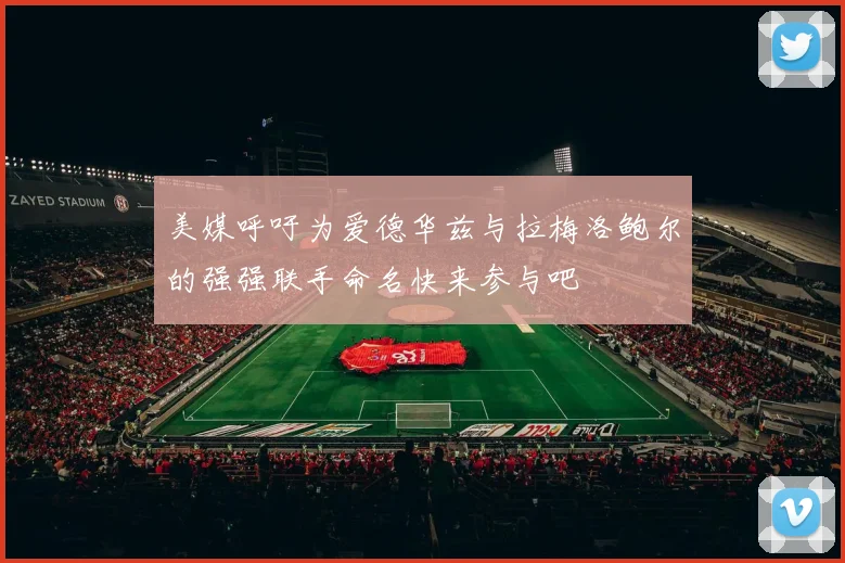 美媒呼吁为爱德华兹与拉梅洛鲍尔的强强联手命名快来参与吧