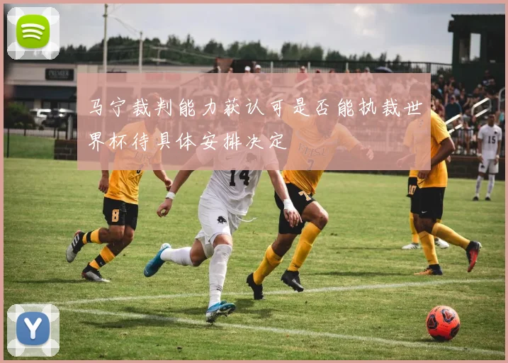 马宁裁判能力获认可是否能执裁世界杯待具体安排决定